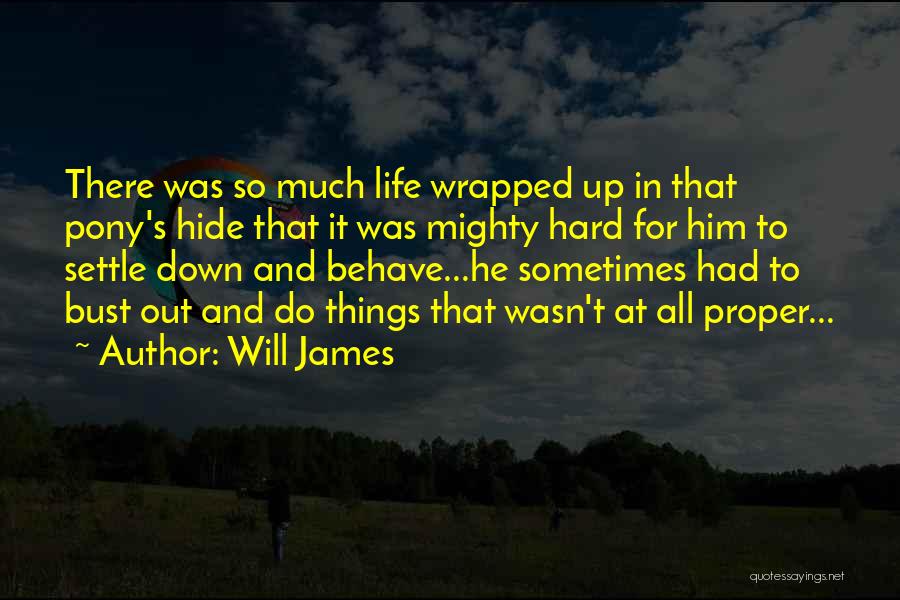 Life's Hard Sometimes Quotes By Will James