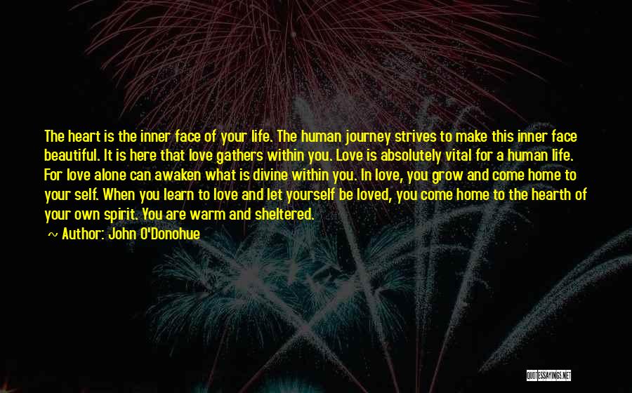 Life's Journey And Love Quotes By John O'Donohue