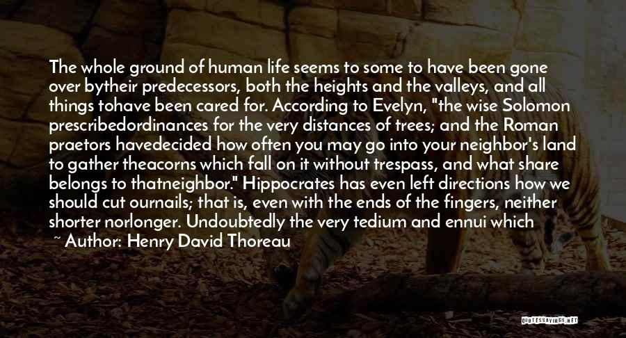 Life's Little Joys Quotes By Henry David Thoreau
