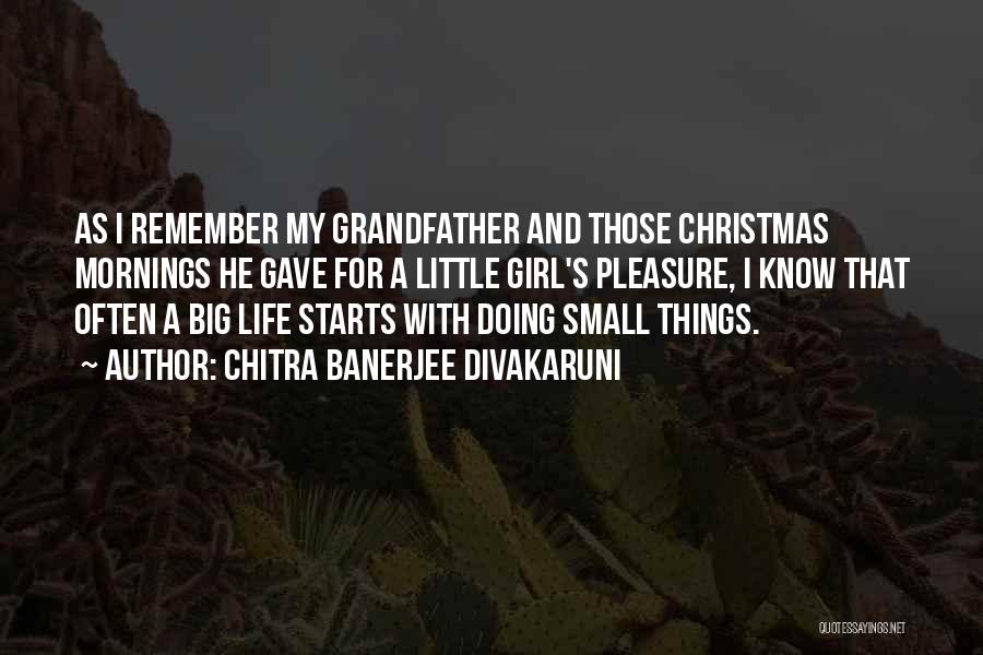 Life's Little Things Quotes By Chitra Banerjee Divakaruni