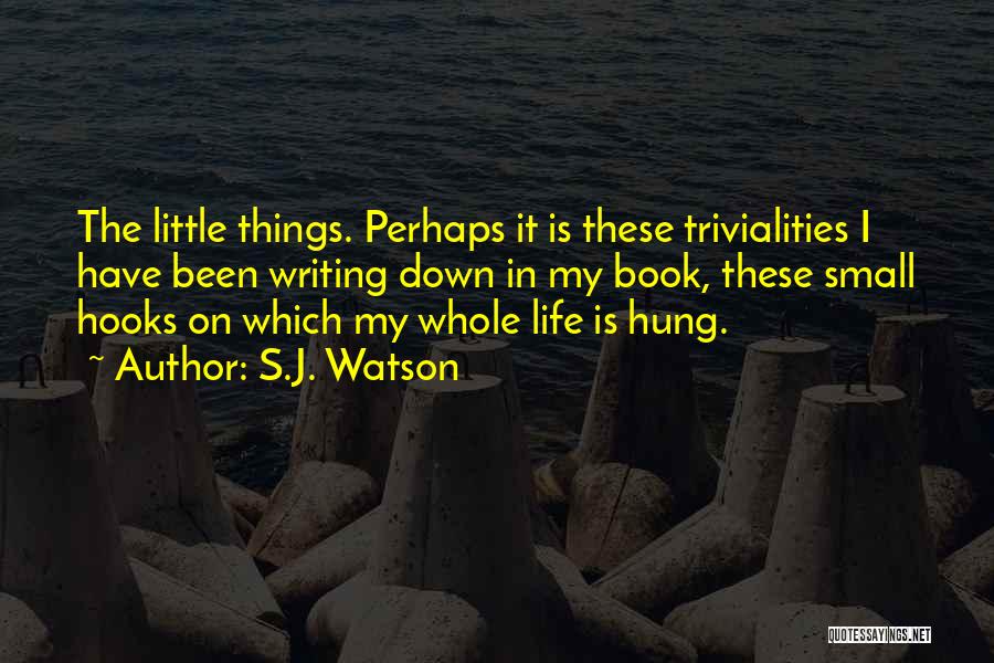 Life's Little Things Quotes By S.J. Watson