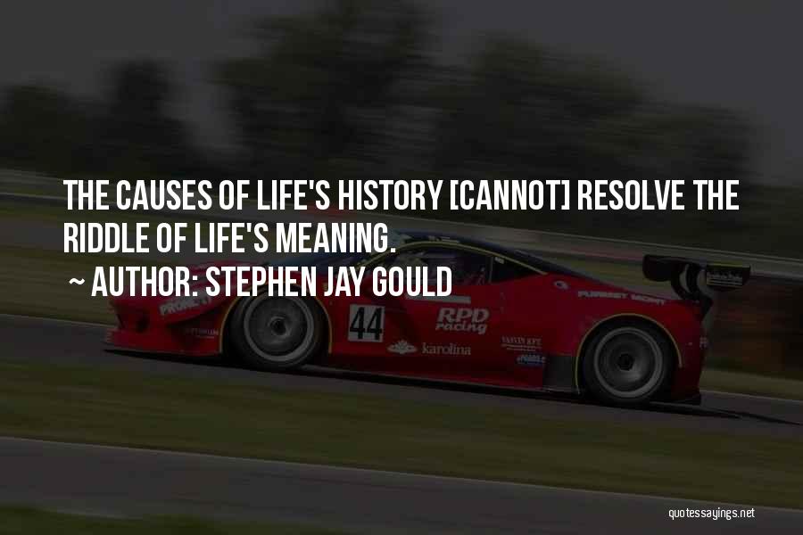 Life's Meaning Quotes By Stephen Jay Gould