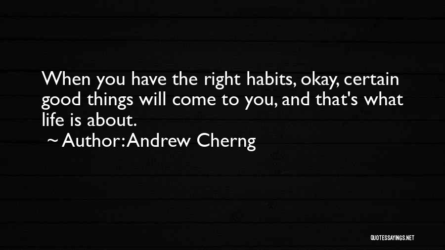 Life's Okay Quotes By Andrew Cherng