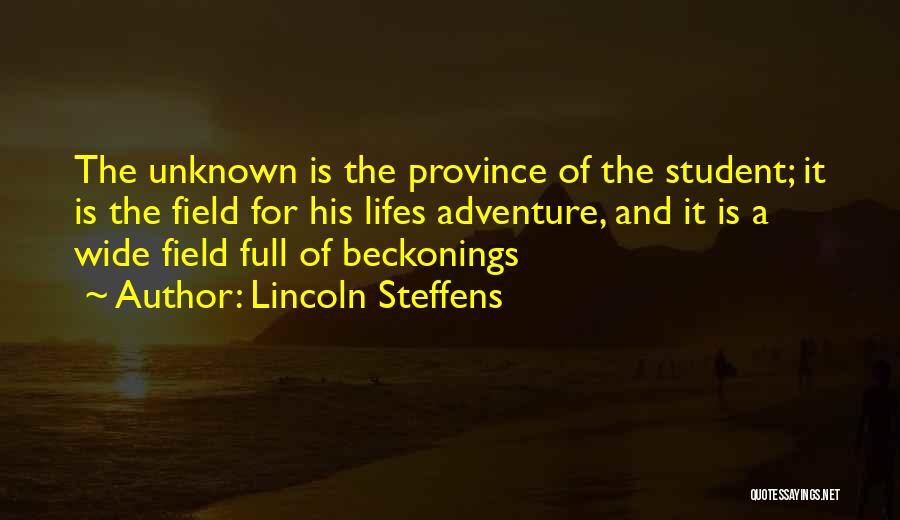 Lifes Quotes By Lincoln Steffens