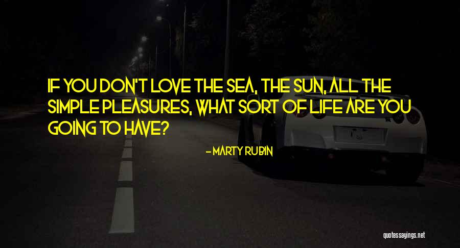 Life's Simple Pleasure Quotes By Marty Rubin