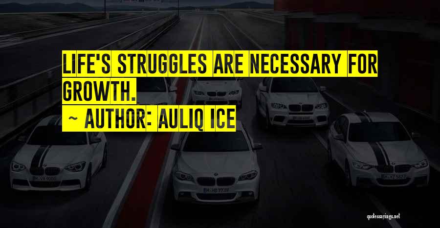Life's Struggles Quotes By Auliq Ice