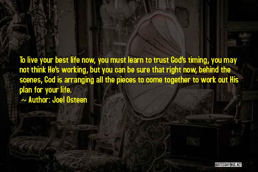 Life's Timing Quotes By Joel Osteen