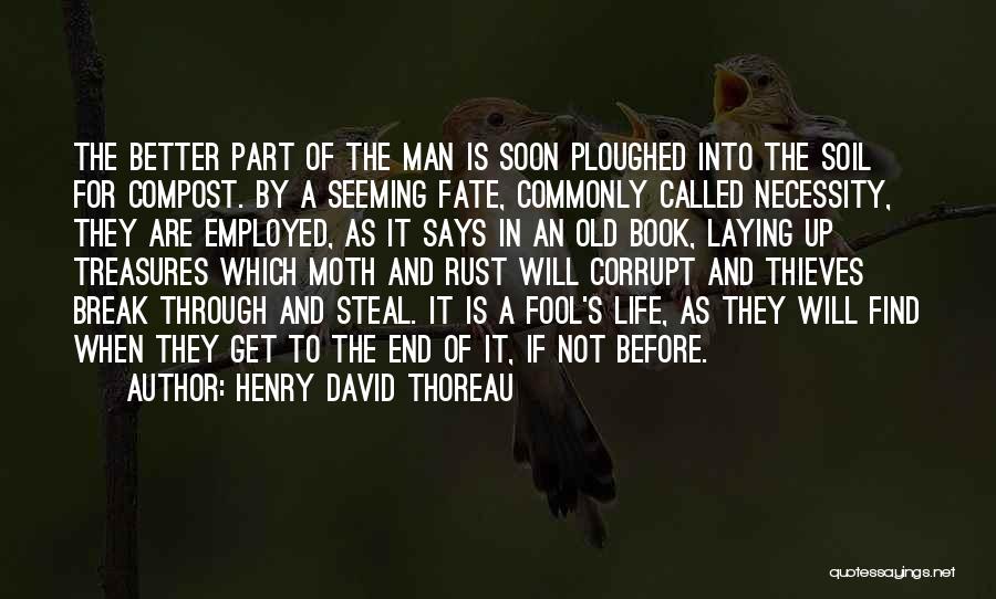 Life's Treasures Quotes By Henry David Thoreau