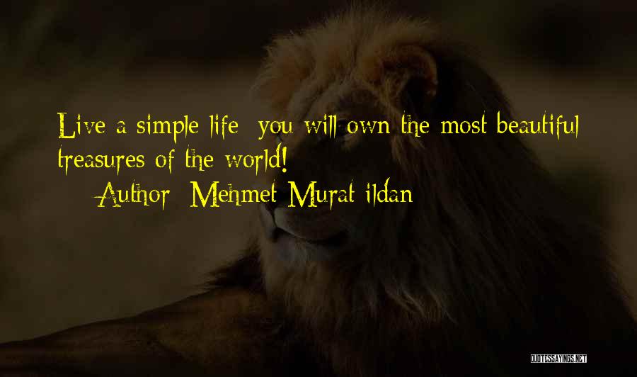 Life's Treasures Quotes By Mehmet Murat Ildan