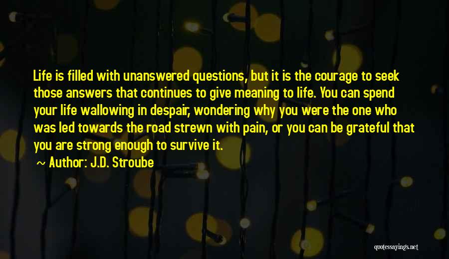 Life's Unanswered Questions Quotes By J.D. Stroube