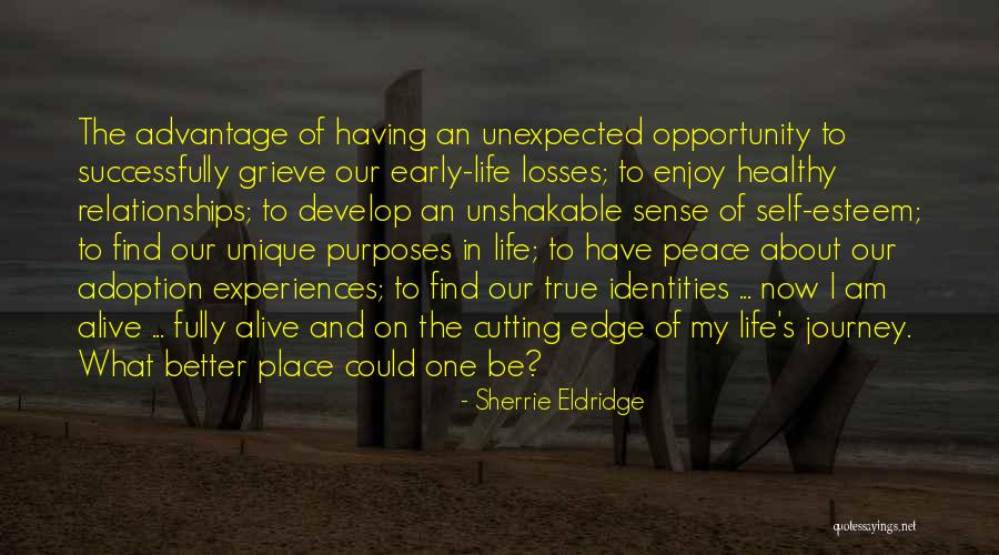 Life's Unexpected Journey Quotes By Sherrie Eldridge Life's Unexpected Journey Quotes By Sherrie Eldridge