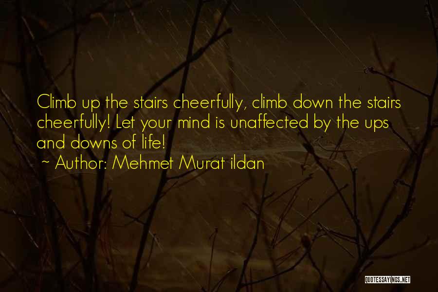 Life's Up And Downs Quotes By Mehmet Murat Ildan