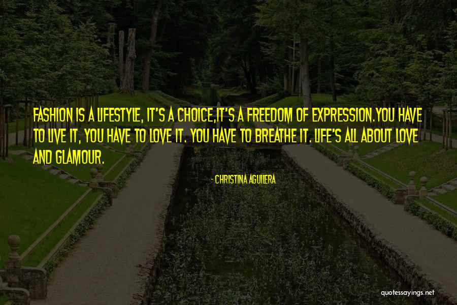 Lifestyle Choices Quotes By Christina Aguilera