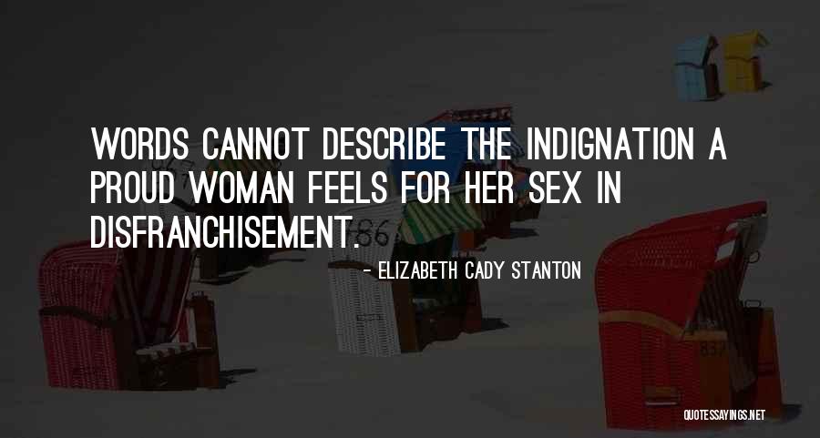 Lifestyle Evangelism Quotes By Elizabeth Cady Stanton Lifestyle Evangelism Quotes By Elizabeth Cady Stanton