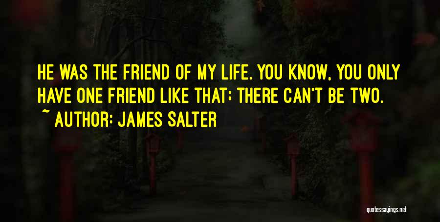 Lifetime Best Friend Quotes By James Salter