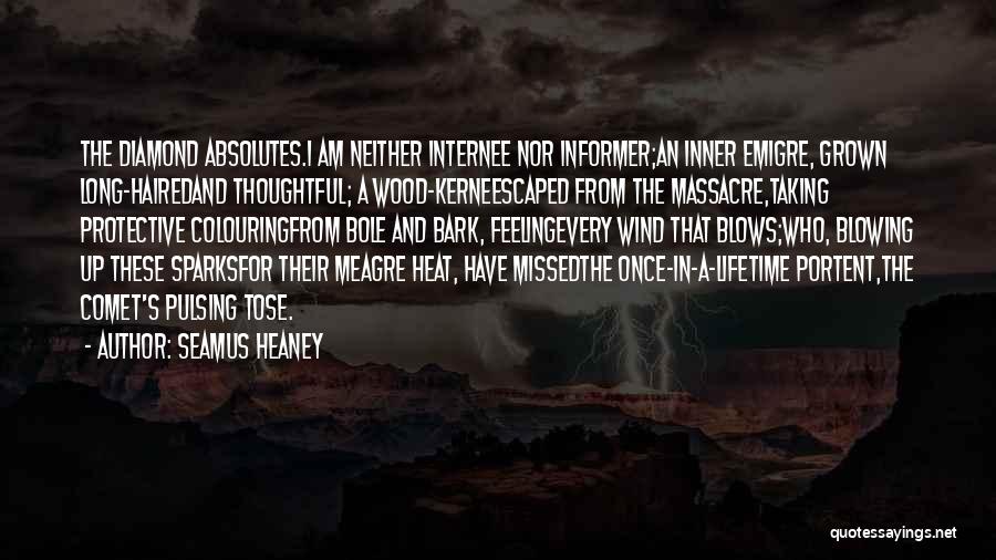 Lifetime Quotes By Seamus Heaney