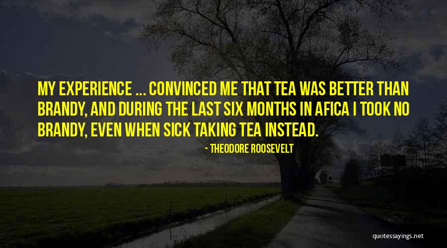 Liffeys Quotes By Theodore Roosevelt Liffeys Quotes By Theodore Roosevelt
