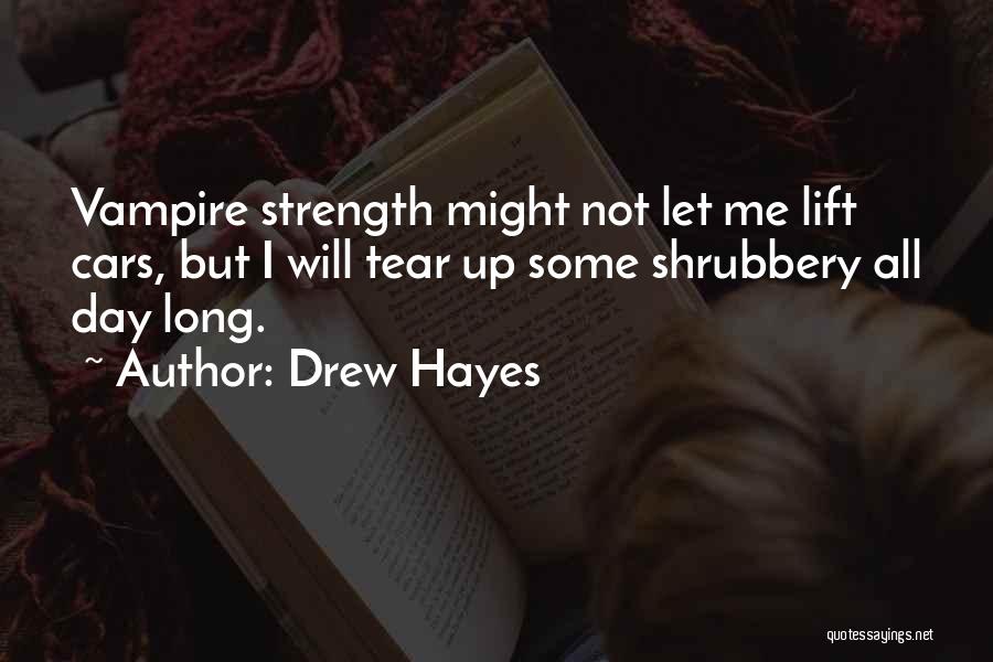 Lift Me Up Quotes By Drew Hayes