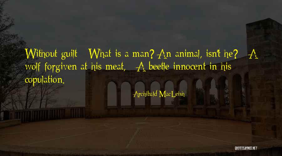 Liftback Quotes By Archibald MacLeish Liftback Quotes By Archibald MacLeish