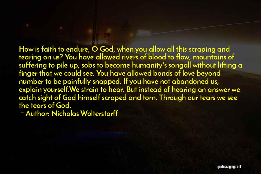 Lifting Up To God Quotes By Nicholas Wolterstorff