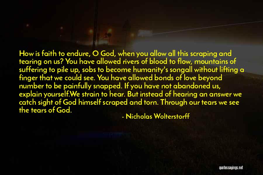 Lifting Up To God Quotes By Nicholas Wolterstorff