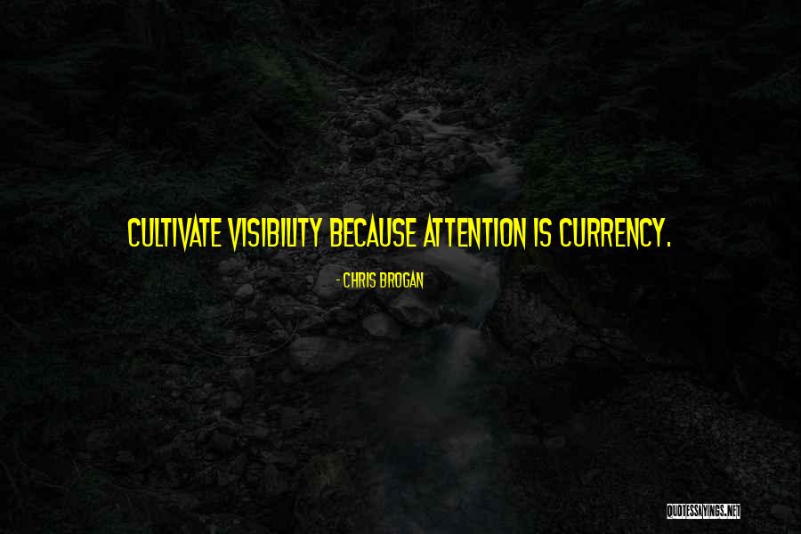 Ligament Of Treitz Quotes By Chris Brogan