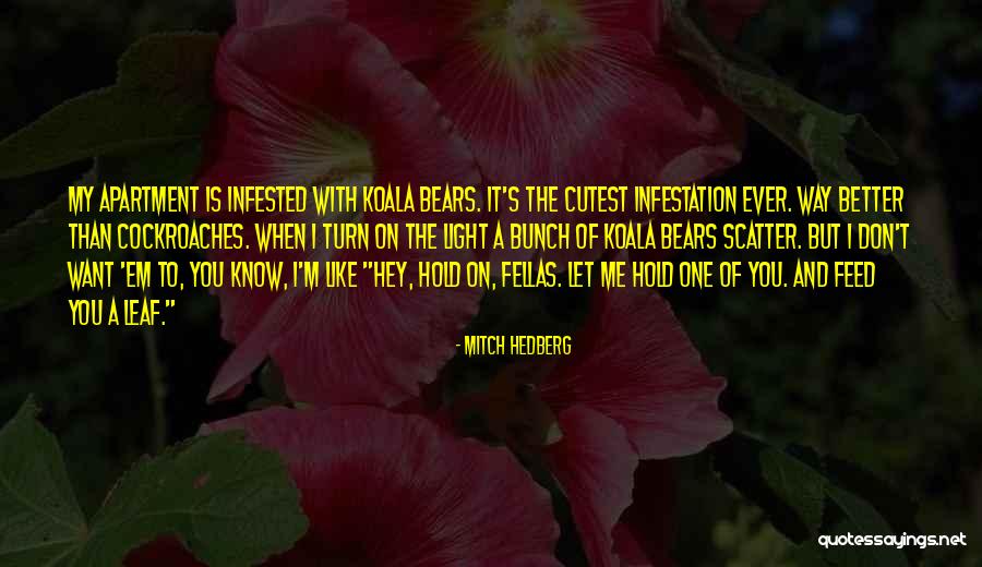 Ligeros Tattoo Quotes By Mitch Hedberg Ligeros Tattoo Quotes By Mitch Hedberg