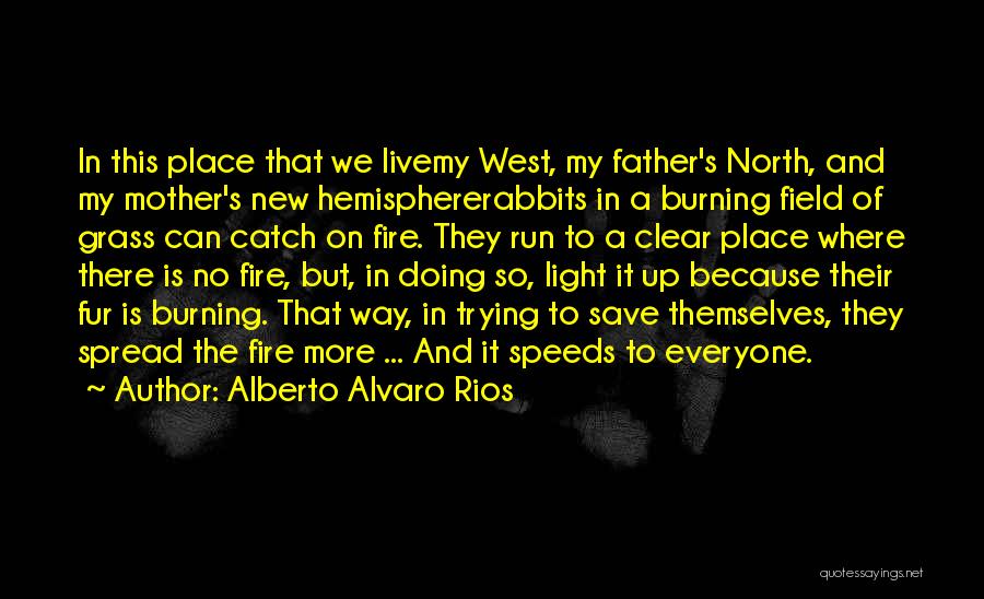 Light A Fire Quotes By Alberto Alvaro Rios