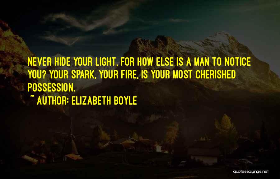 Light A Spark Quotes By Elizabeth Boyle