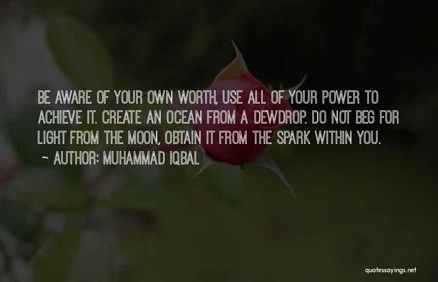 Light A Spark Quotes By Muhammad Iqbal