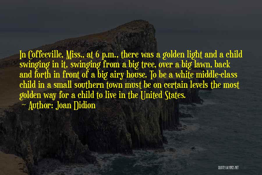 Light And Airy Quotes By Joan Didion