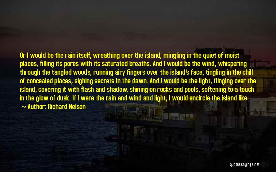 Light And Airy Quotes By Richard Nelson