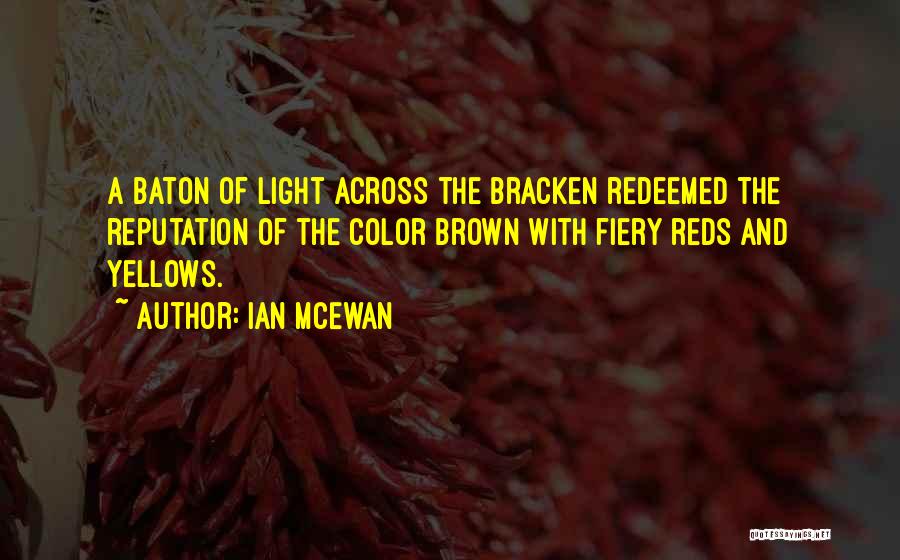 Light And Color Quotes By Ian McEwan