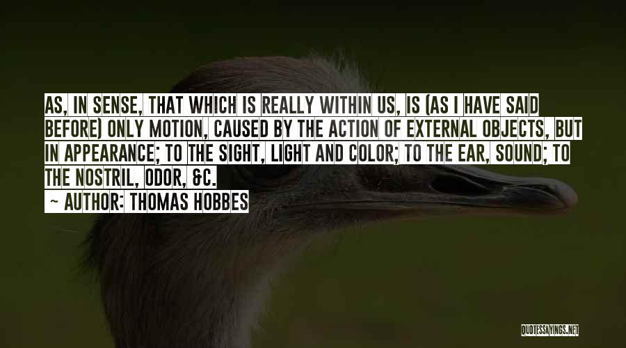 Light And Color Quotes By Thomas Hobbes