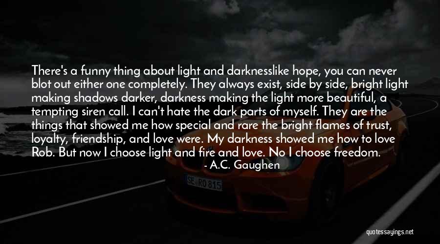 Light And Dark In Heart Of Darkness Quotes By A.C. Gaughen Light And Dark In Heart Of Darkness Quotes By A.C. Gaughen