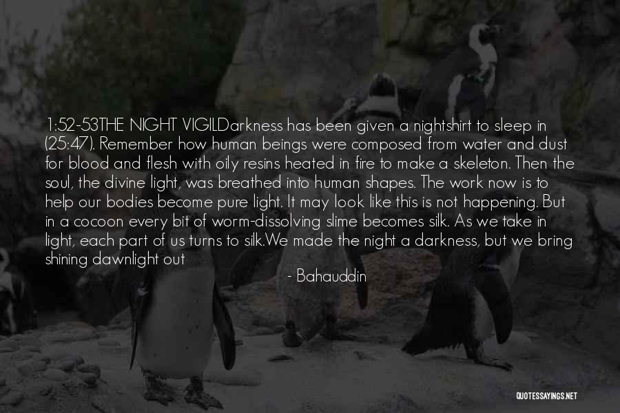 Light And Darkness Within Quotes By Bahauddin Light And Darkness Within Quotes By Bahauddin