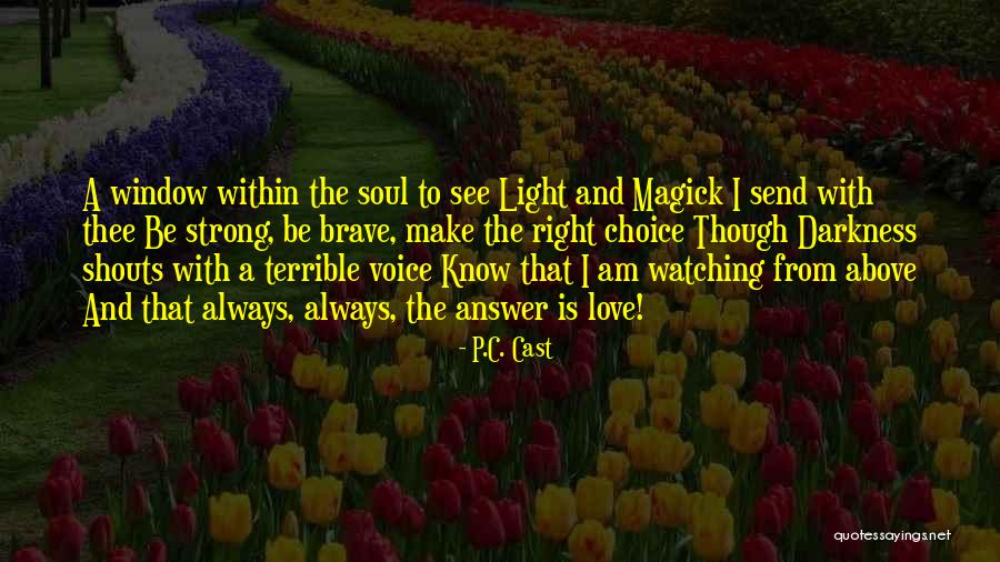Light And Darkness Within Quotes By P.C. Cast Light And Darkness Within Quotes By P.C. Cast