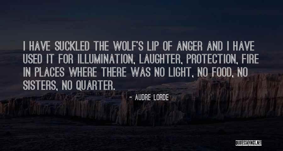 Light And Illumination Quotes By Audre Lorde Light And Illumination Quotes By Audre Lorde