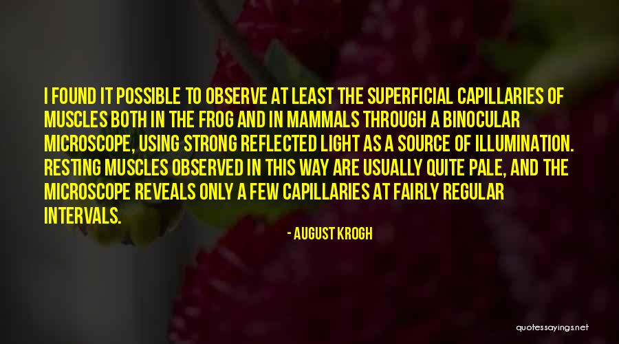 Light And Illumination Quotes By August Krogh Light And Illumination Quotes By August Krogh