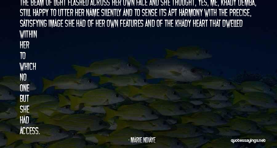 Light And Illumination Quotes By Marie NDiaye Light And Illumination Quotes By Marie NDiaye