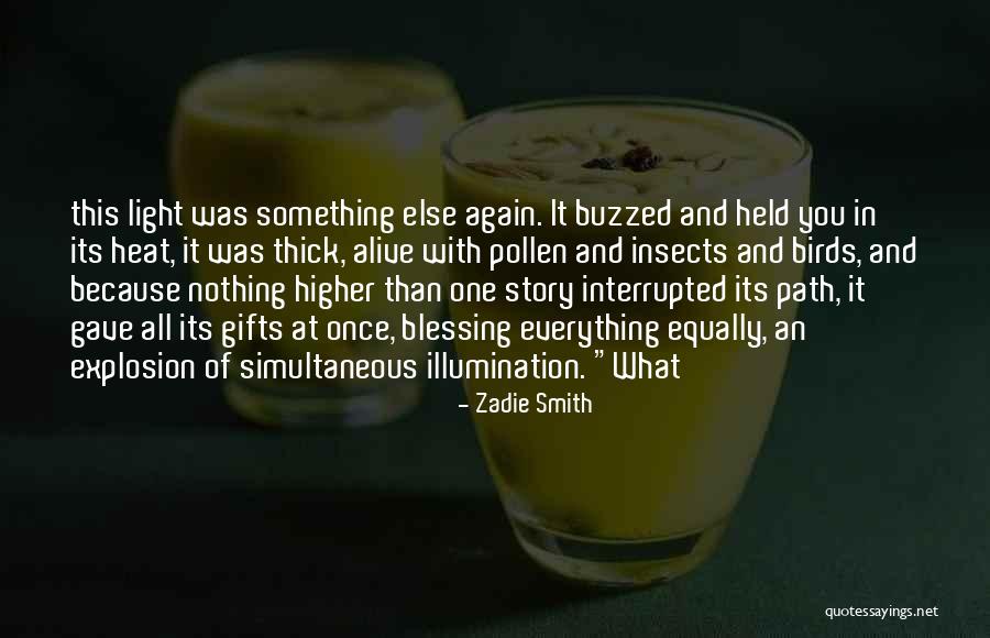 Light And Illumination Quotes By Zadie Smith Light And Illumination Quotes By Zadie Smith