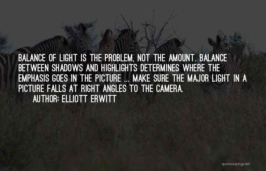 Light And Photography Quotes By Elliott Erwitt