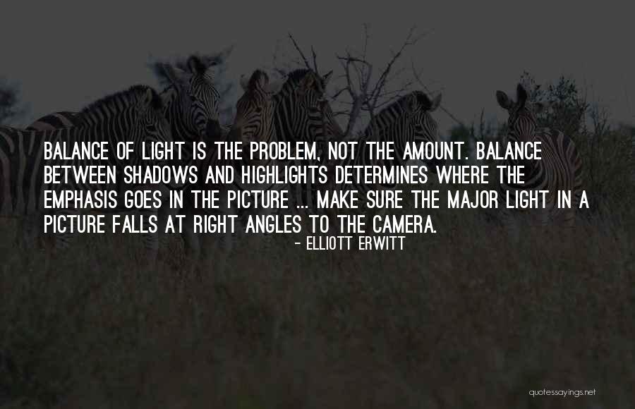 Light And Photography Quotes By Elliott Erwitt