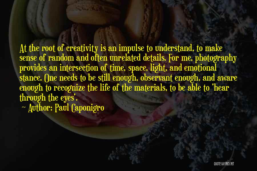 Light And Photography Quotes By Paul Caponigro