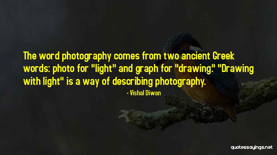 Light And Photography Quotes By Vishal Diwan