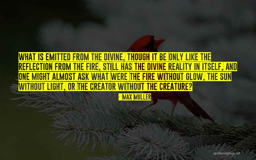 Light And Reflection Quotes By Max Muller Light And Reflection Quotes By Max Muller
