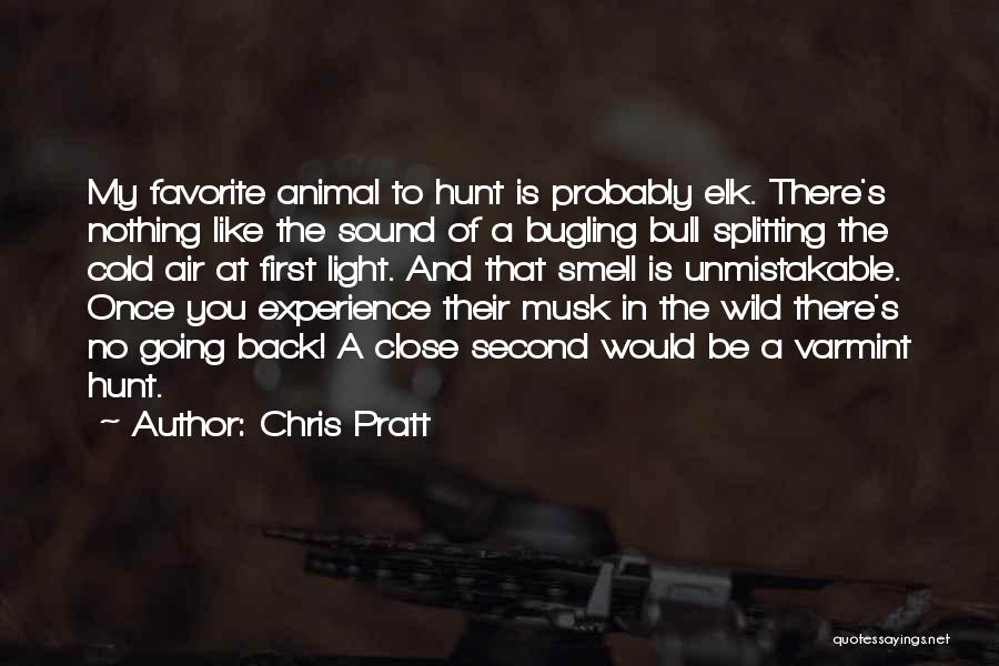 Light And Sound Quotes By Chris Pratt