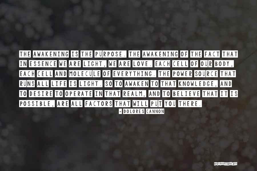 Light As The Source Of Life Quotes By Dolores Cannon Light As The Source Of Life Quotes By Dolores Cannon