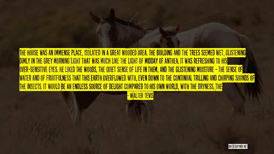 Light As The Source Of Life Quotes By Walter Tevis Light As The Source Of Life Quotes By Walter Tevis