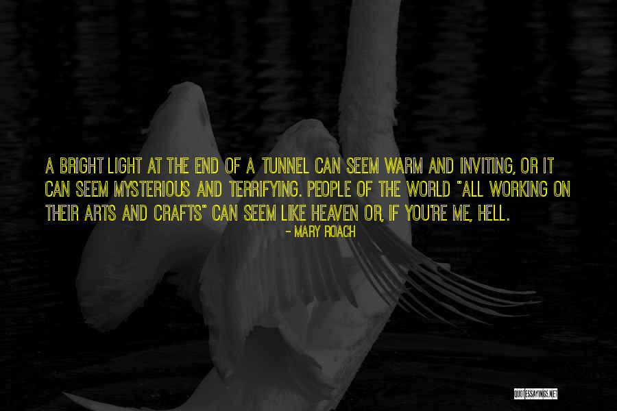 Light At The End Of A Tunnel Quotes By Mary Roach Light At The End Of A Tunnel Quotes By Mary Roach